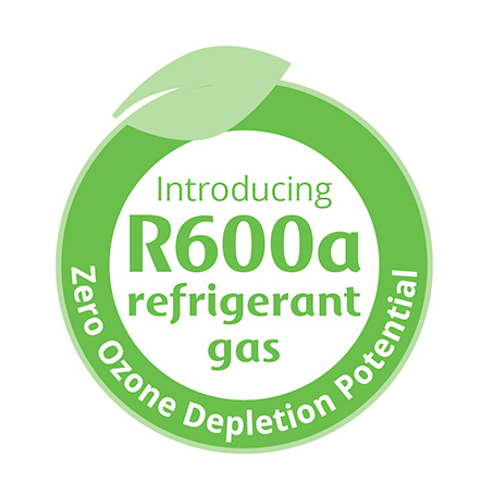 Doğal Soğutucu Akışkanlar r600a